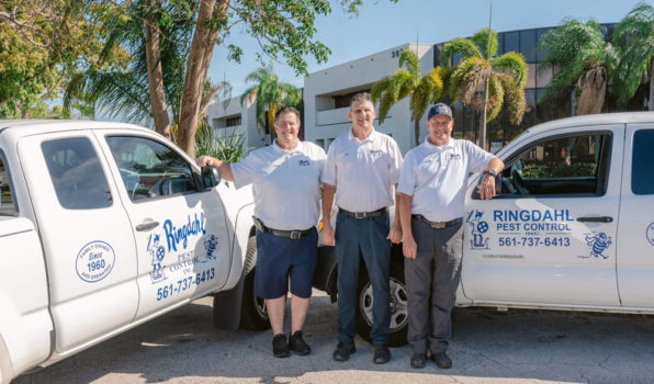 2021-03-30-Ringdhl-Pest-Control-12-new Pest Control Boynton Beach, FL | Pest Control Near Me