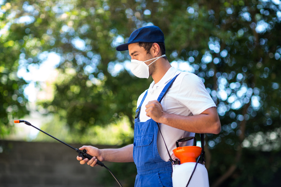The Eco-Friendly Approach to Pest Control: Protecting Your Home and the Environment